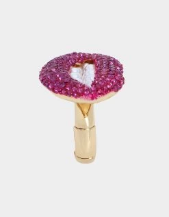 MIDNIGHT GARDEN LIP RING PINK -Betsey Johnson 452783GLD651 3