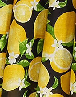 LA LA LEMONS MAXI DRESS BLACK -Betsey Johnson BETSEY JOHNSON JN108391 BLACK 01 SWATCH